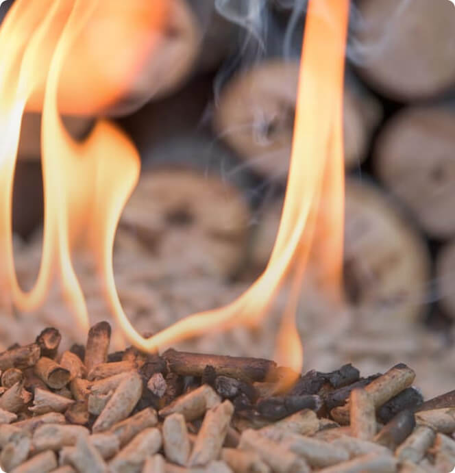 houtpelelts bestellen Tilburg