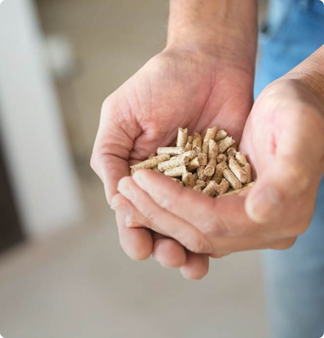 houtpelelts kopen Tilburg